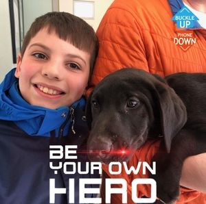 Meet your Posher, Sandy